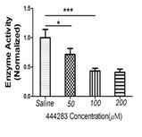 The inhibitory effect of 444283 on MMP13 activity.jpg